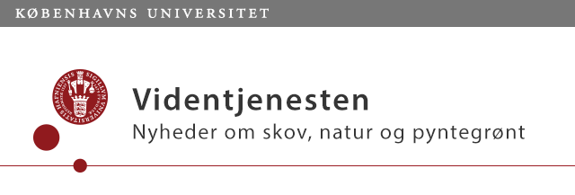 KU Nyhedsbrev: Videntjenesten Skov, natur og pyntegrønt