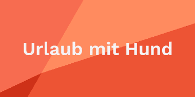 tekst